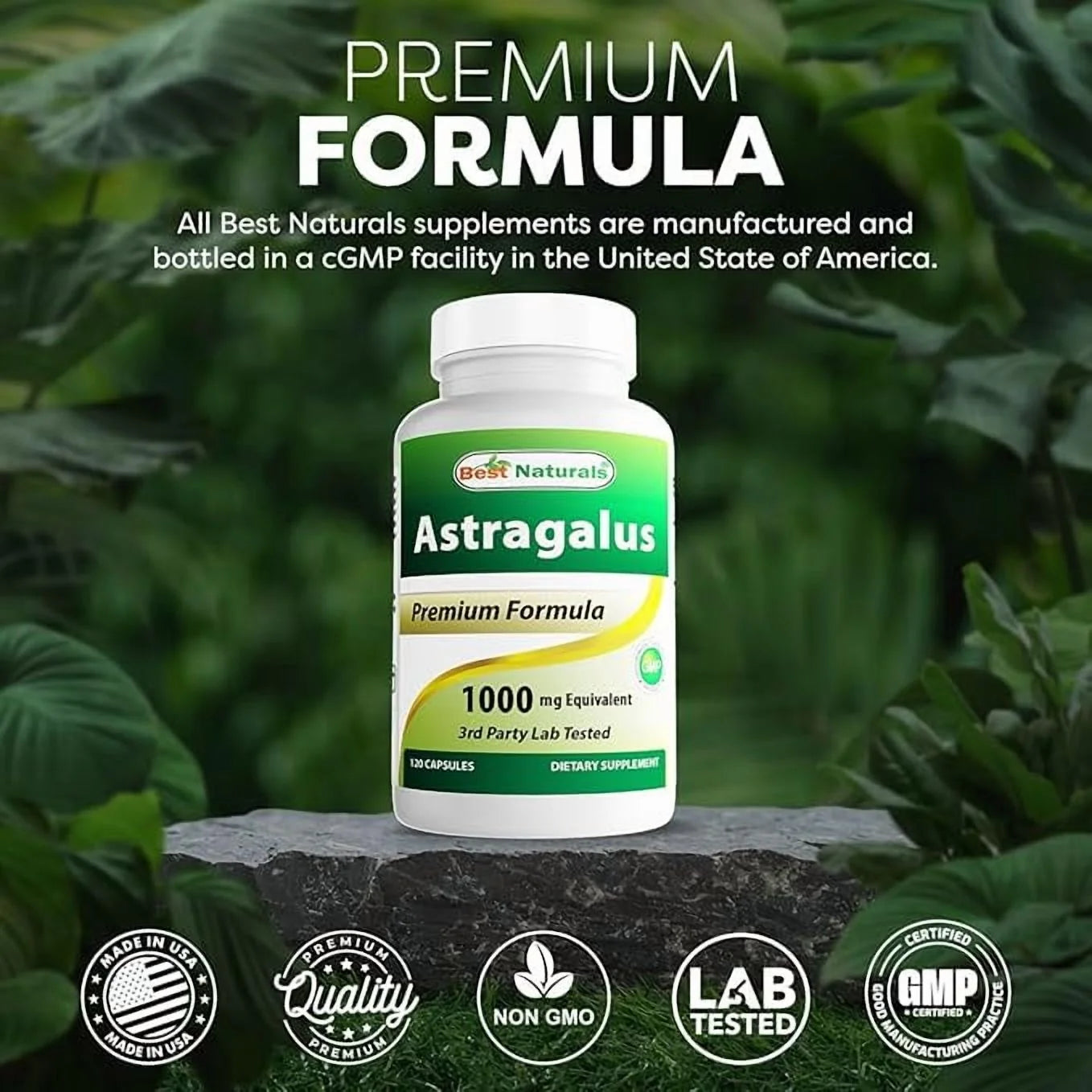 Astragalus 1000 Mg 120 Capsules