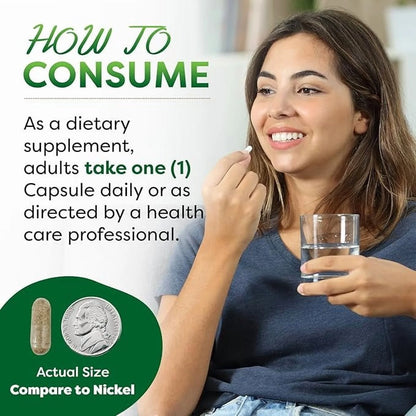 Astragalus 1000 Mg 120 Capsules