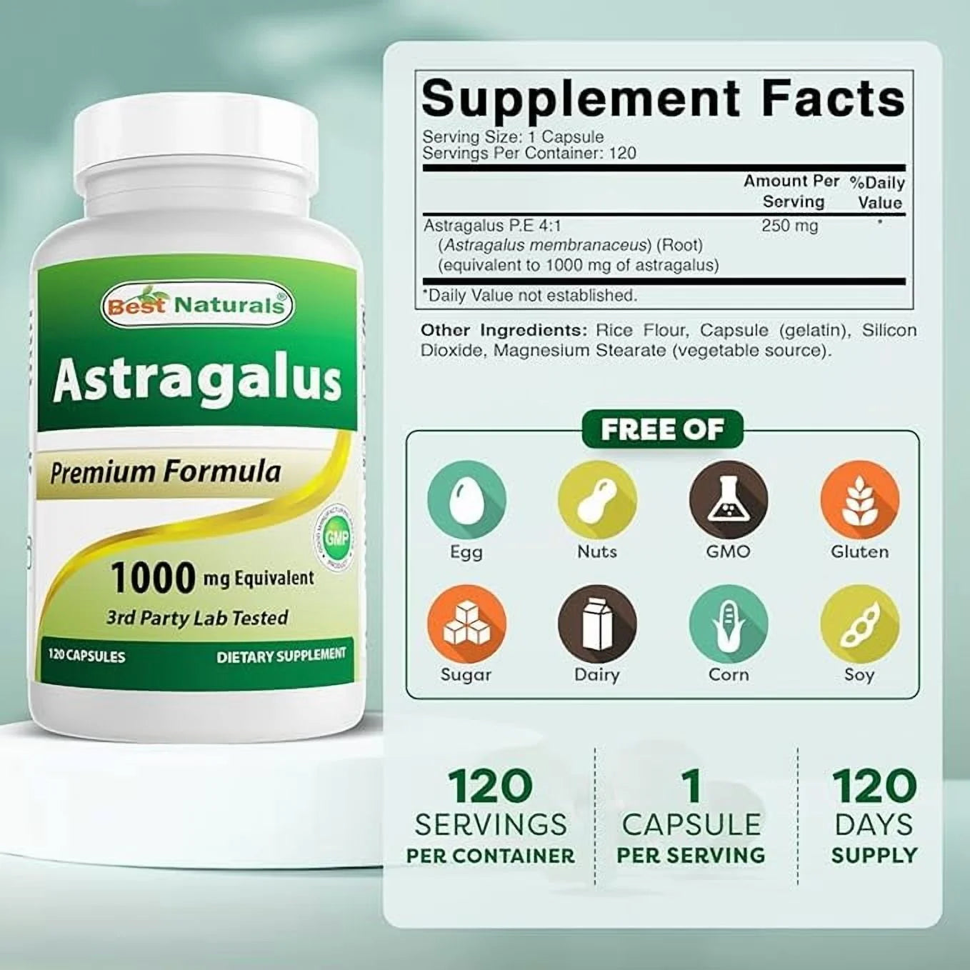 Astragalus 1000 Mg 120 Capsules